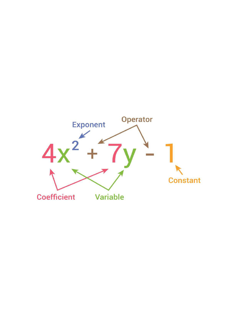 Polynomial Explained 57273 | PDF