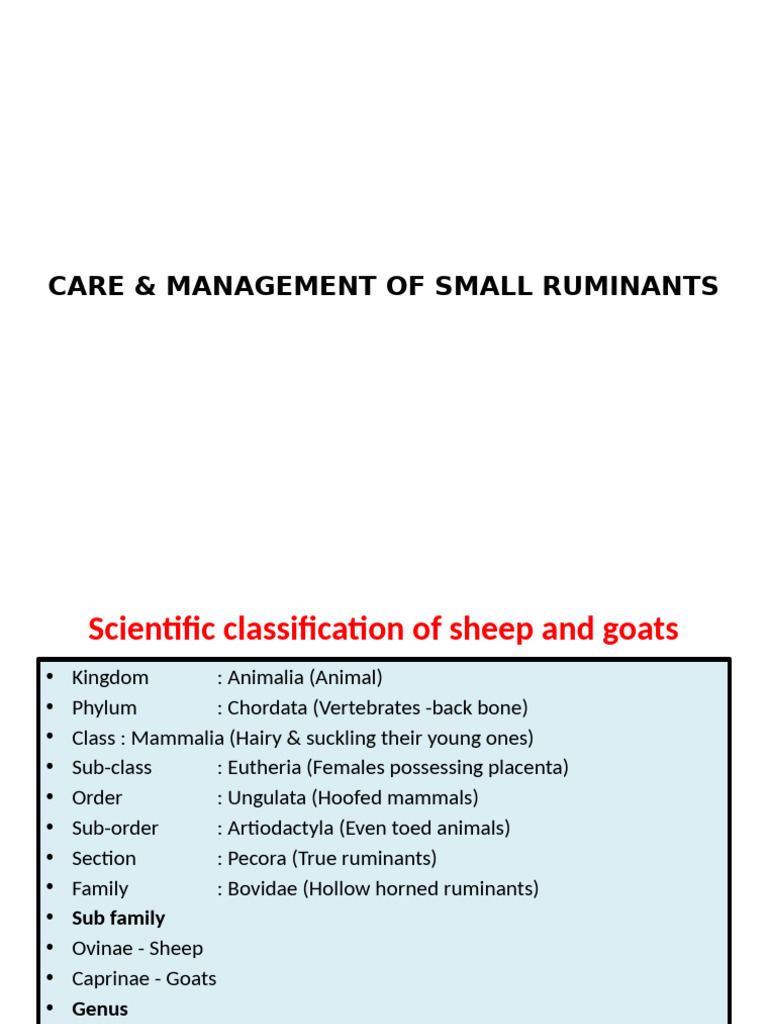 Small Ruminant Care & Management Guide | PDF | Sheep | Ovis