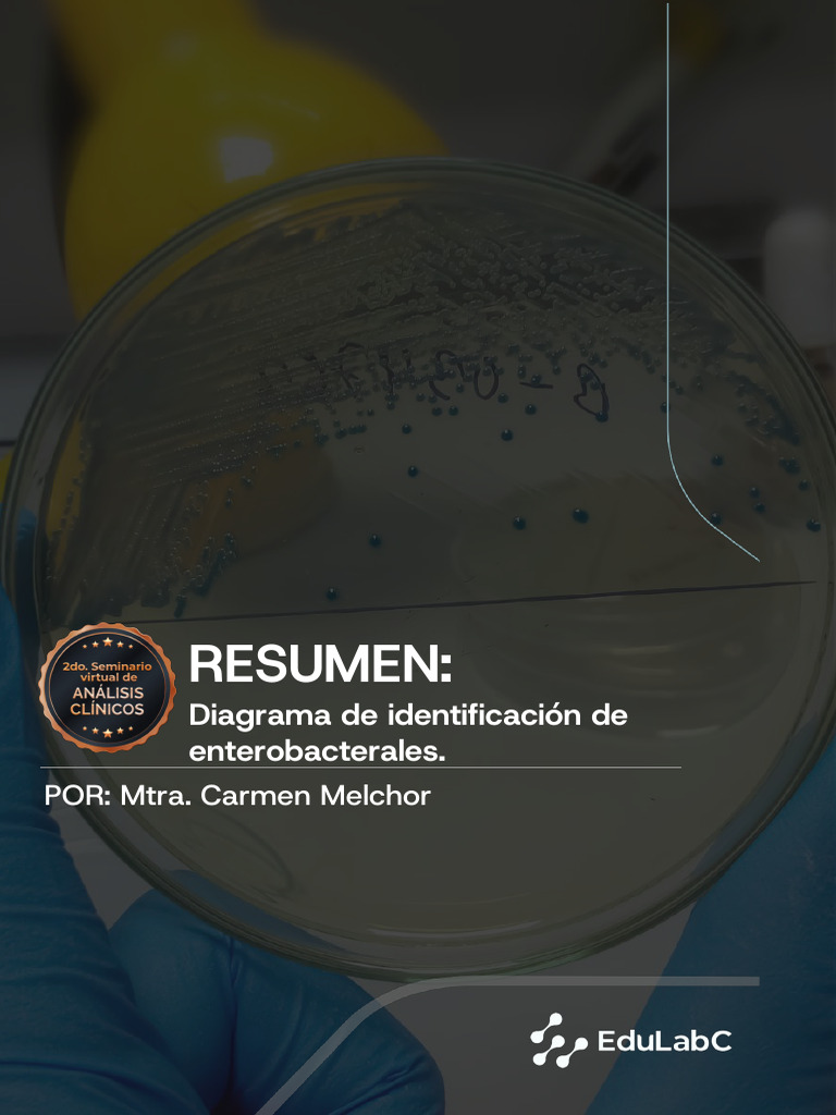 Resumen Diagrama de Identificación de Enterobacterales | PDF ...