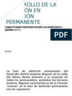 DESARROLLO DE LA OCLUSION EN DENTICION PERMANENTE