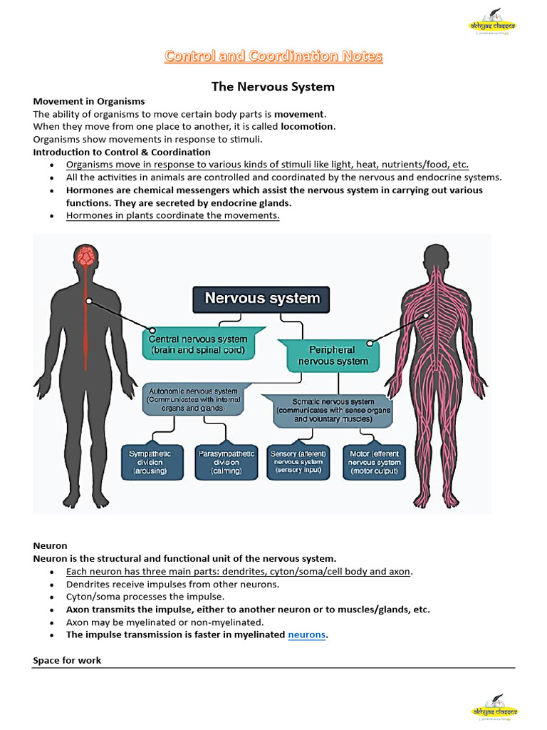 Nervous System and Plant Hormones Explained | PDF | Central Nervous ...