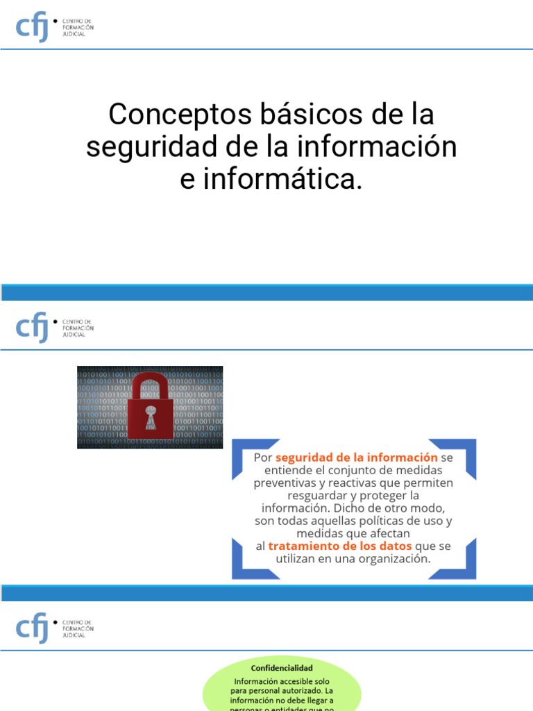 Conceptos Básicos de La Seguridad de La Información | PDF | Seguridad ...