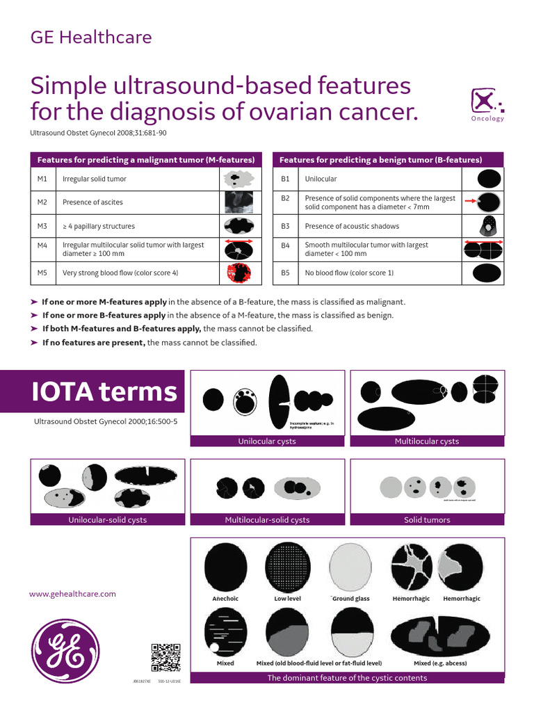 300-12-U016E JB61827XE Poster-A3 IOTA | PDF