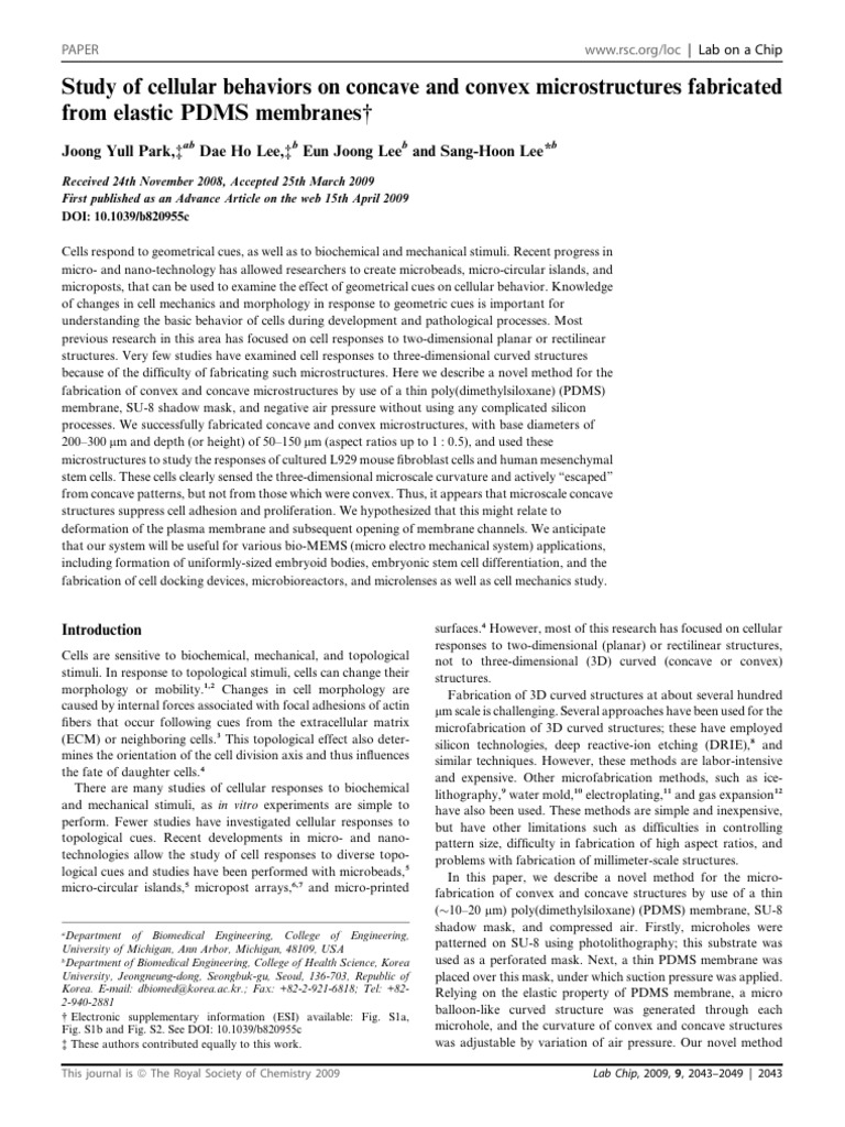 Cellular Responses to Curved Microstructures | PDF | Convex Set ...