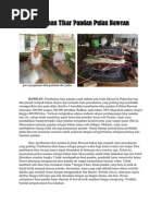 Download Kerajinan Tikar Pandan Pulau Bawean by Ahmad Asfahani SN89177304 doc pdf