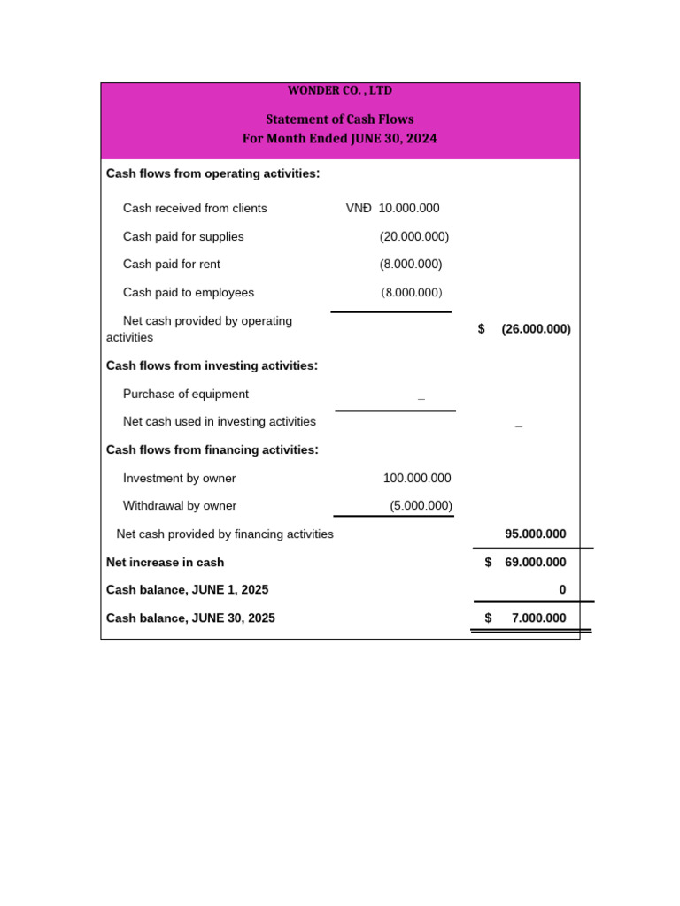 Wonder Co. Cash Flow Statement June 2024 | PDF
