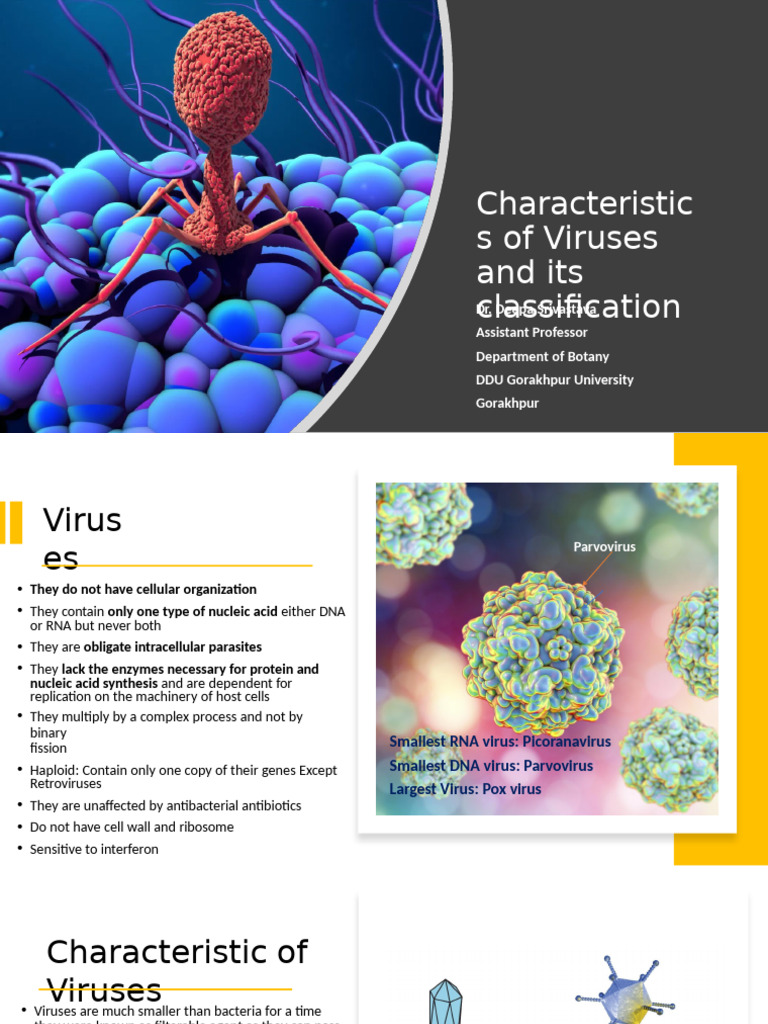Study 349662455 | PDF | Virus | Sense (Molecular Biology)