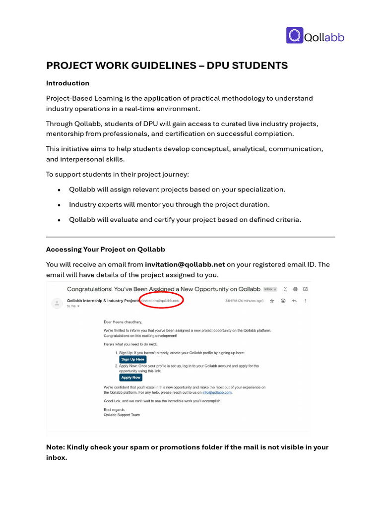 DPU Project Work Guidelines for MBA Students | PDF | Agriculture ...