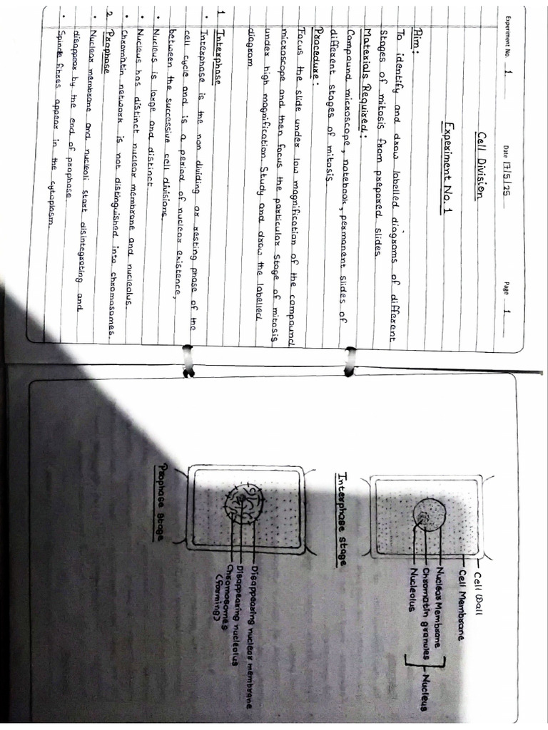 Biology Lab Manual | PDF