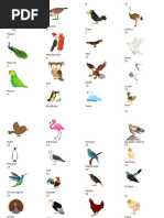 A To Z Birds Names List in English With Pictures PDF | PDF