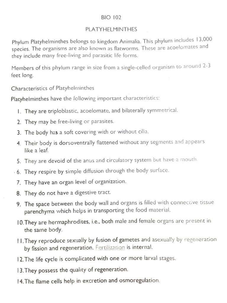 BIO 102 (Part 2A) PLATYHELMINTHES | PDF