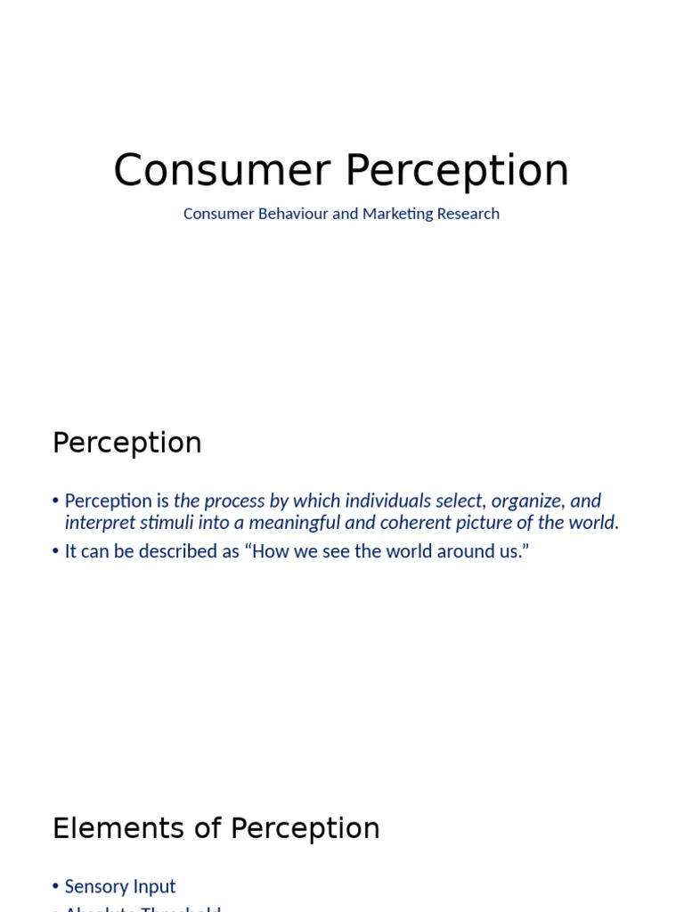 Understanding Consumer Perception in Marketing | PDF | Perception | Brand