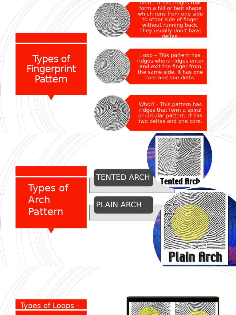 Fingerprint Patterns and Collection Tools | PDF