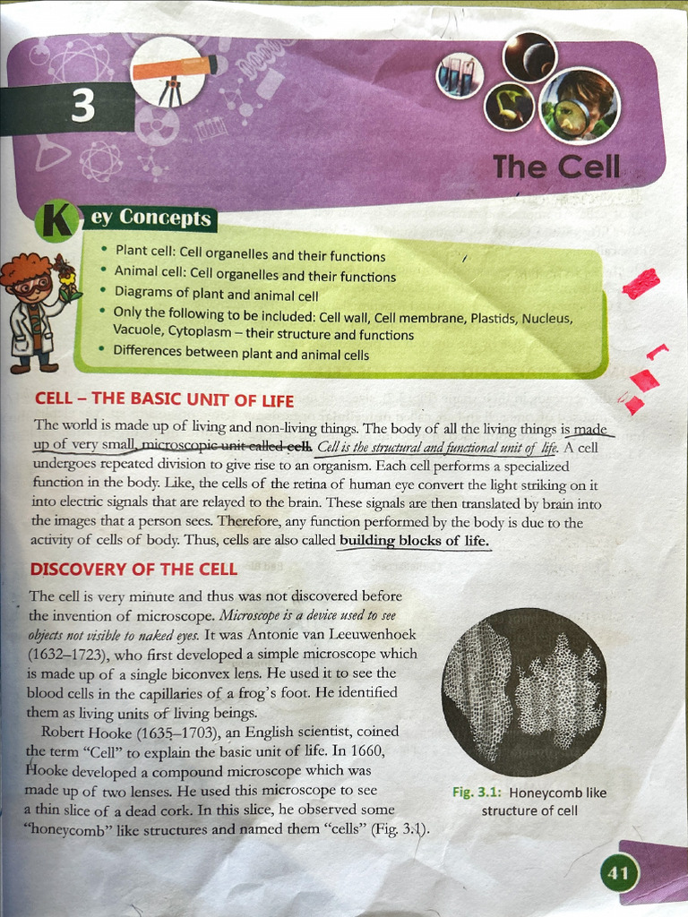 Biology Chapter 3 Cell | PDF