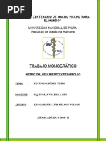 Download  Fecundacion in Vitro Monografia by mivascu23 SN89185324 doc pdf