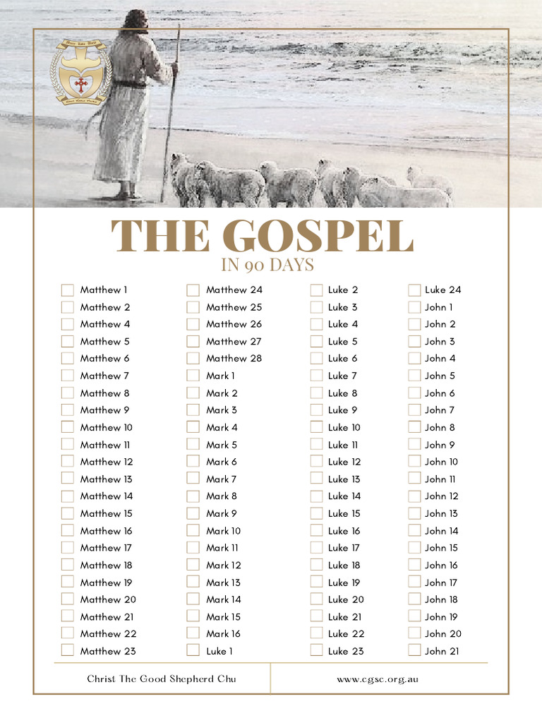 New Testament Reading Plan Overview | PDF
