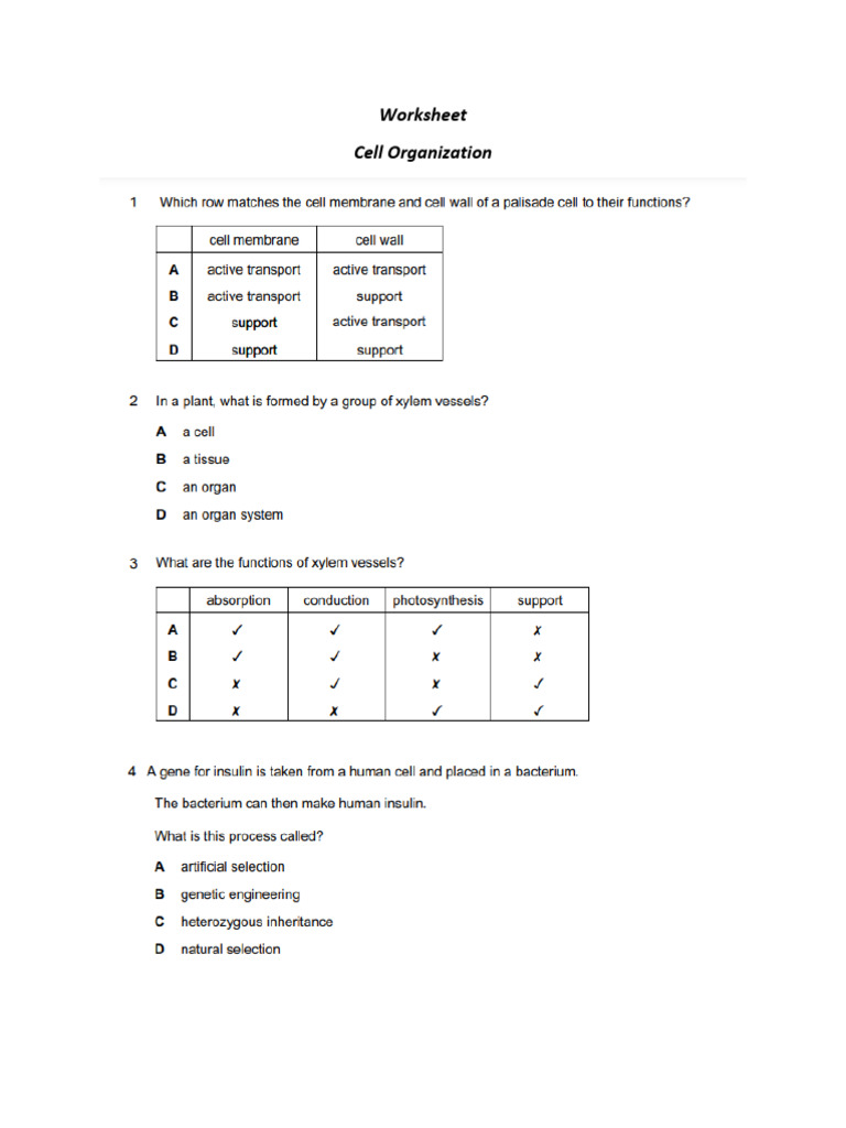 Worksheet Cell Organization | PDF