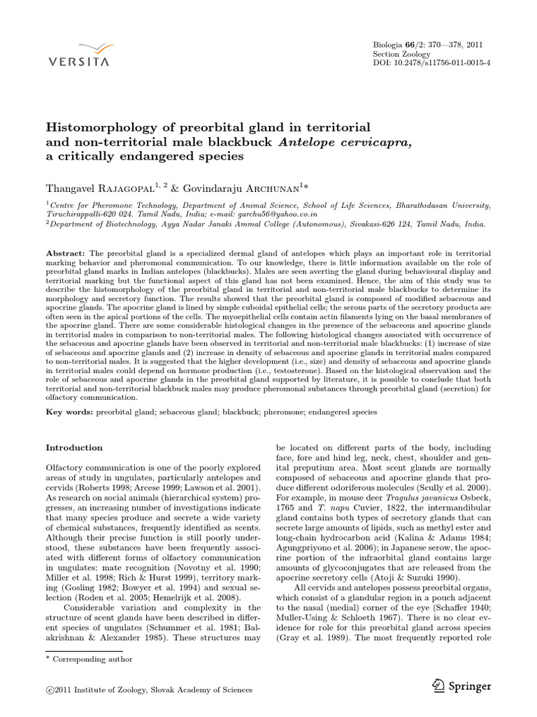 Histomorphology of Preorbital Gland in Territorial and Nonterritorial ...