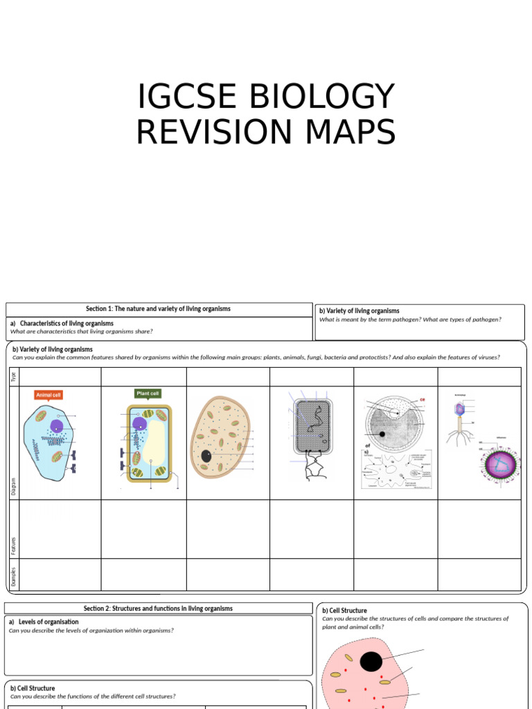 IGCSE Biology Revision Maps | PDF | Digestion | Meiosis