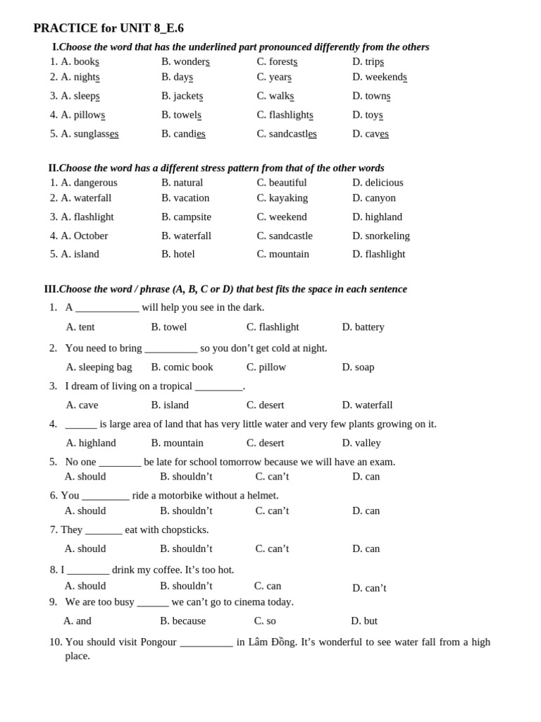 Vocabulary and Grammar Practice Unit 8 | PDF