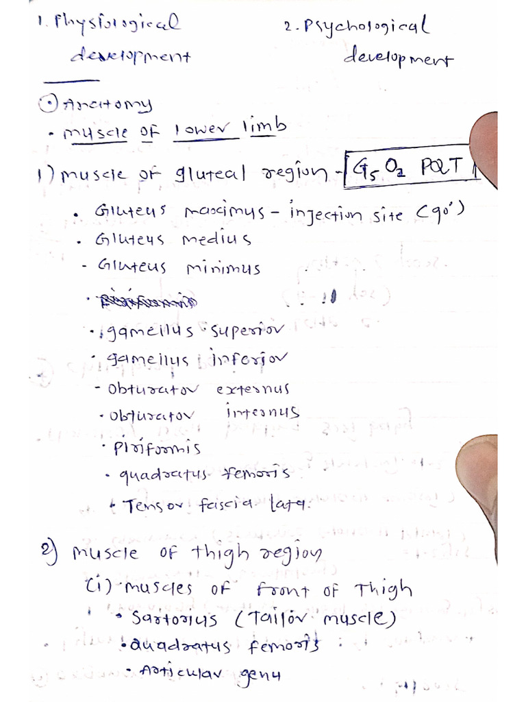 Ms. of Lower Limb | PDF