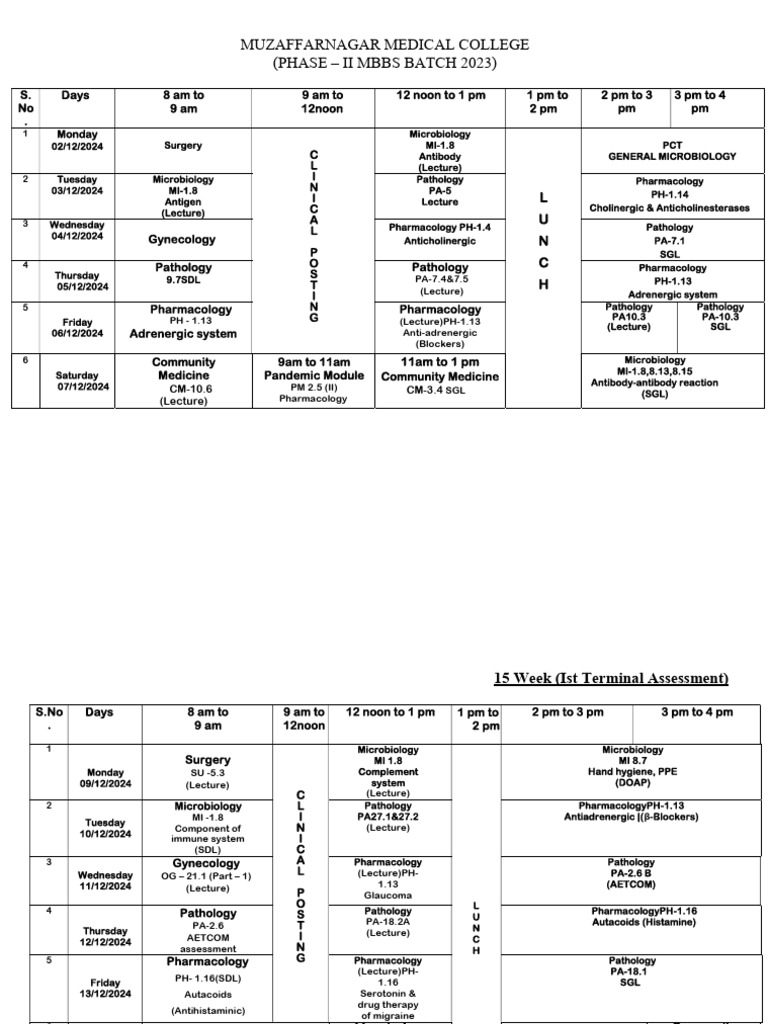 MBBS Phase II Schedule 2024 | PDF | Medical Specialties | Immunology