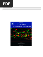 Our's STRONG×DICKIE'S “88” BLACK 32×30 Developmental Neuroscience) Anthony T. Campagnoni-Brain