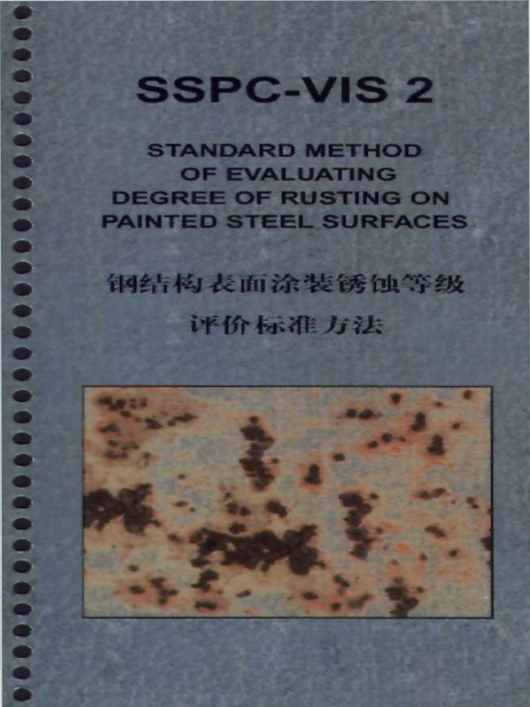 Evaluating Pinpoint Rusting in Steel | PDF | Metals | Materials