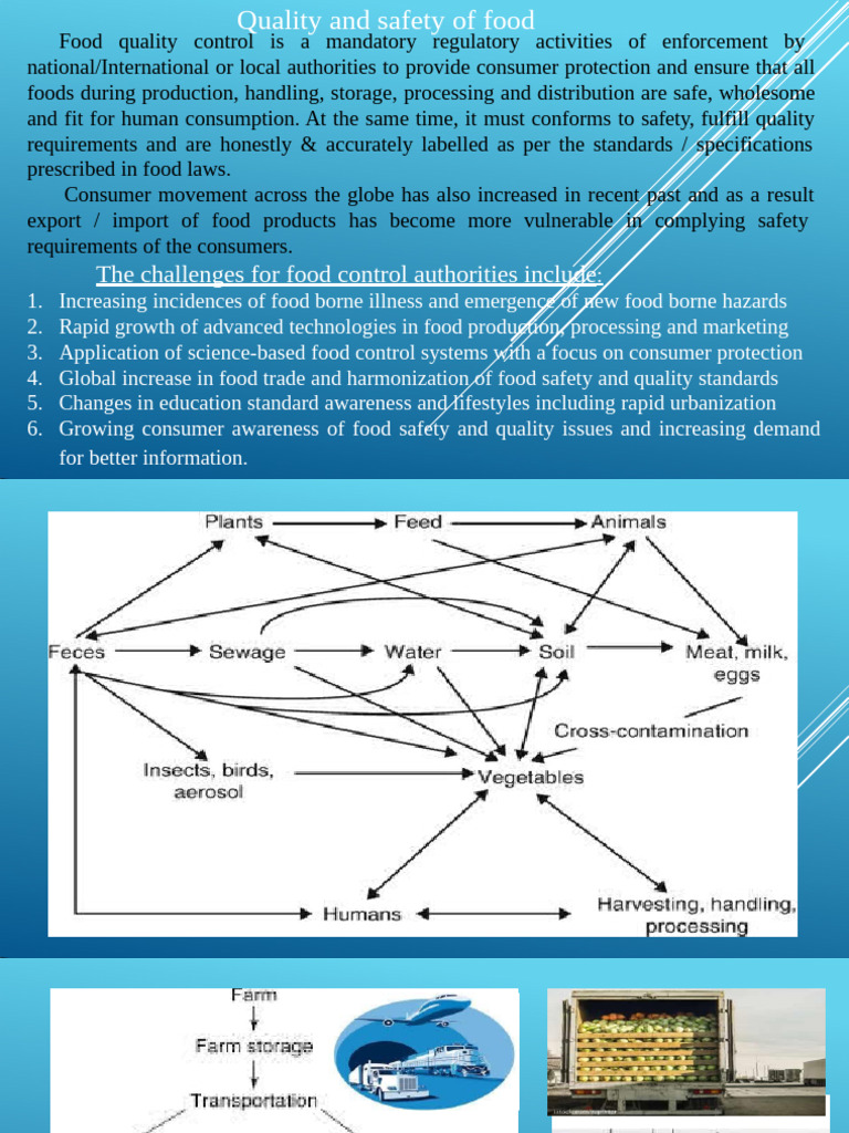 Food Safety and Quality Assurance Overview | PDF | Food Safety ...