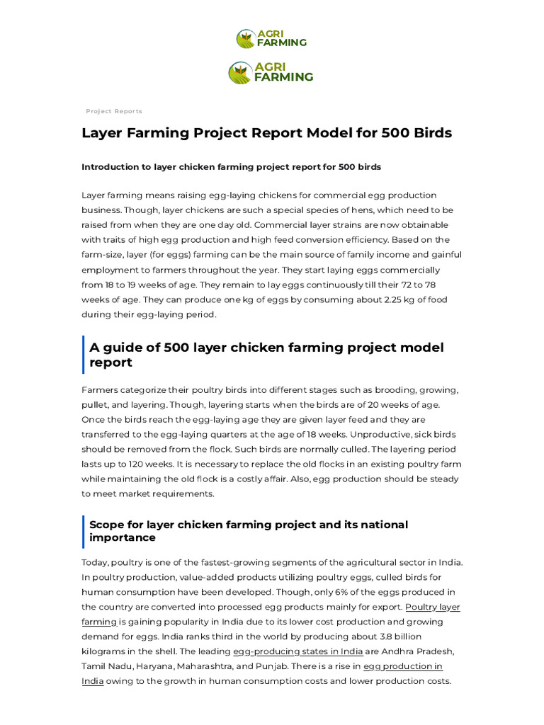 Layer Farming Project Report for 500 Birds | PDF | Poultry Farming ...