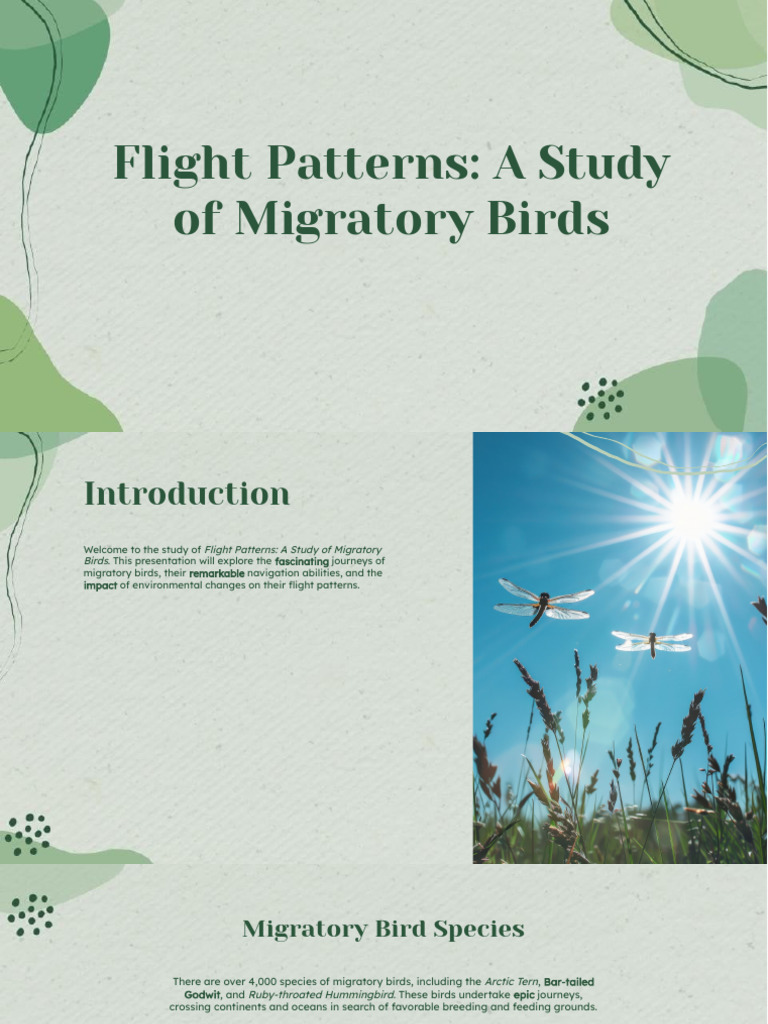 Migratory Birds: Flight Patterns & Conservation | PDF | Bird Migration ...