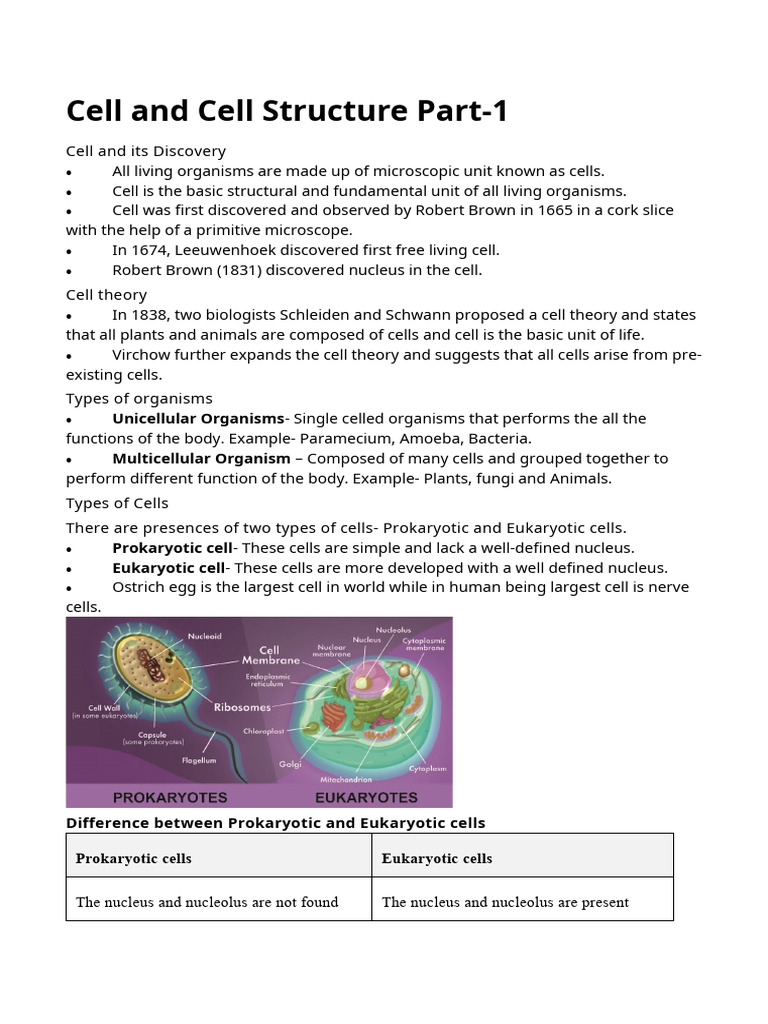 Overview of Cell Structure and Types | PDF | Cell (Biology ...