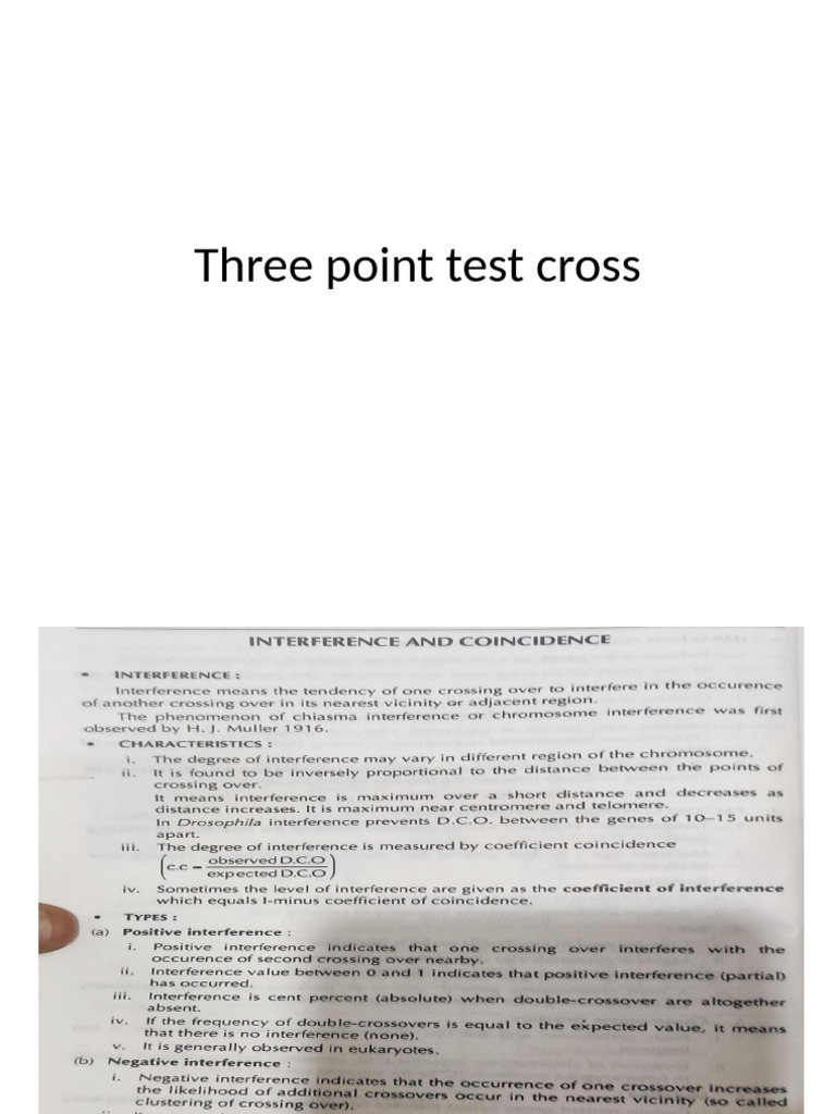 Three Point Test Cross | PDF