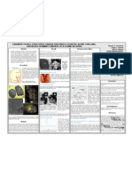 Chiemgau Impact: Poster Presentation LPSC 2012 - Enigmatic Carbon Substances: Evidence of A Cosmic Relation