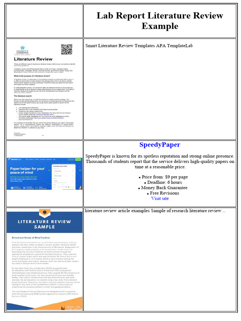 Comprehensive Lab Report Literature Review | PDF | Hepatitis B | Hepatitis