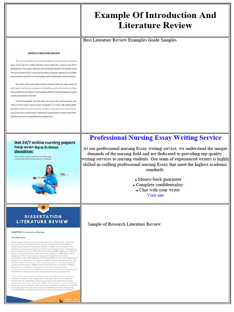 Literature Review Introduction Examples | PDF | Bullying | Essays