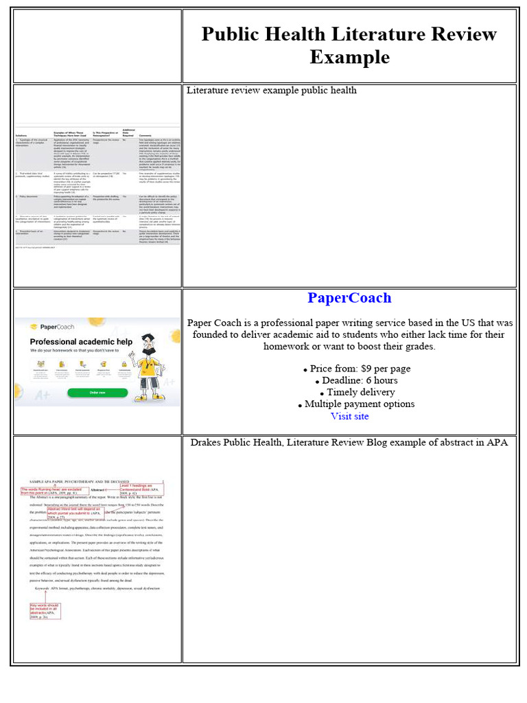Public Health Literature Review Example | PDF | Electric Vehicle ...