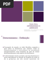 Determinismo e Liberdade (Pedro Mota)