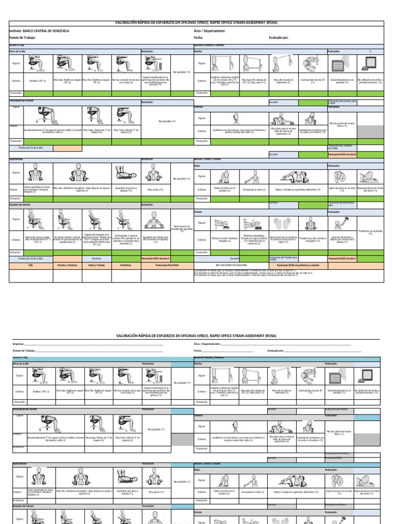Evaluación Ergonomía Oficina ROSA | PDF | Escritorio | Equipo de oficina