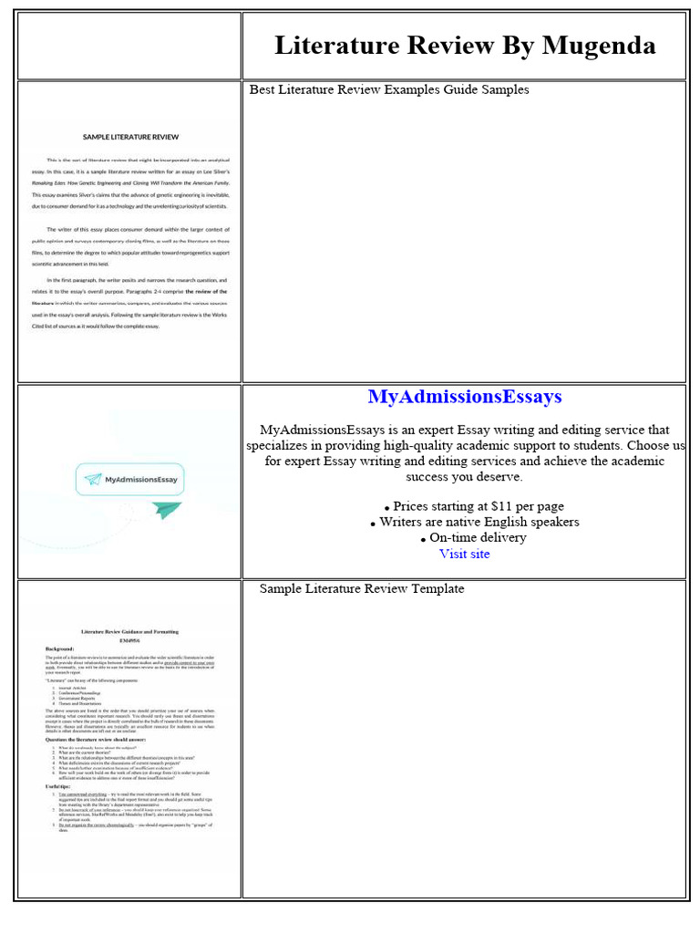Comprehensive Literature Review Guide | PDF | Palm Oil | Thesis