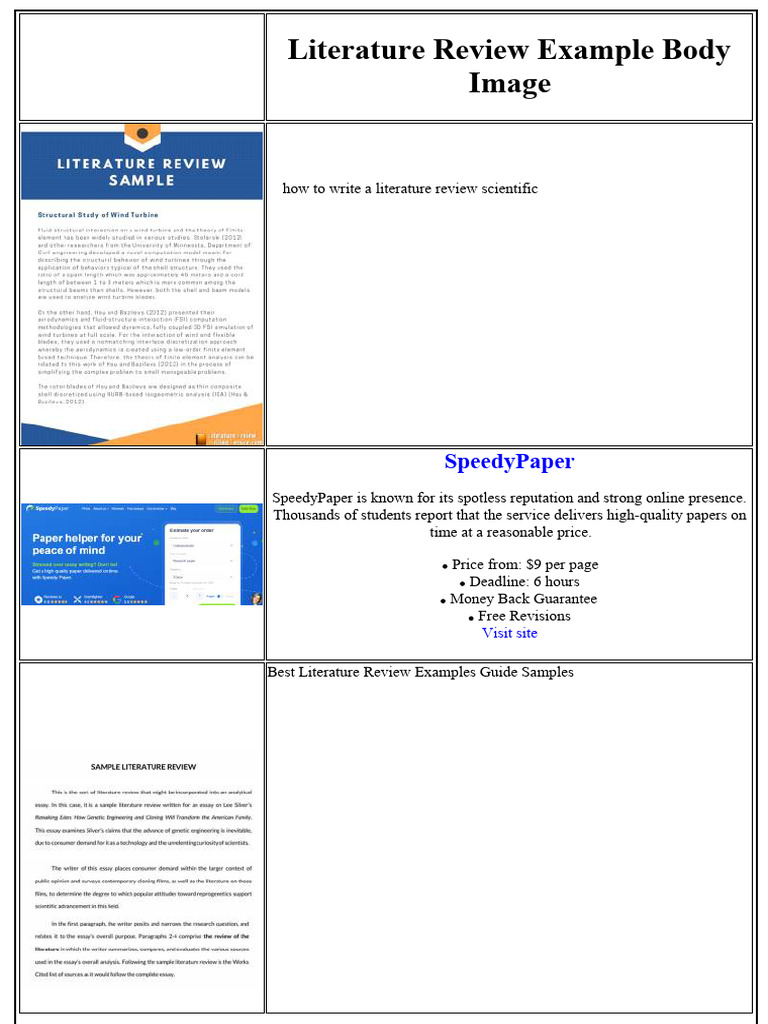How to Write a Literature Review Guide | PDF | Thesis | Essays