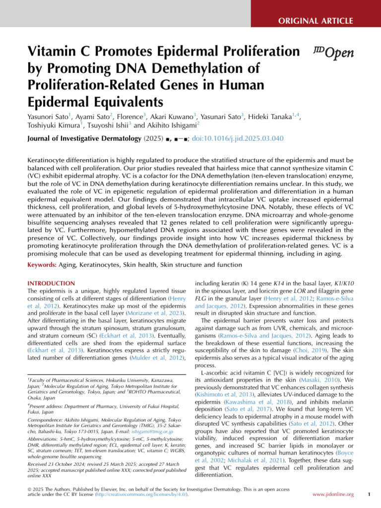 Vitamin C Enhances Epidermal Proliferation | PDF | Epidermis | Skin