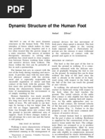 Dynamic Structure of The Human Foot Herbert and Elftman