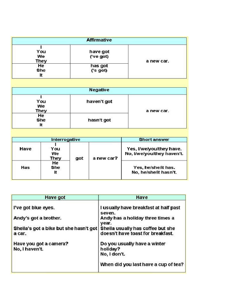 Verb To Have | PDF