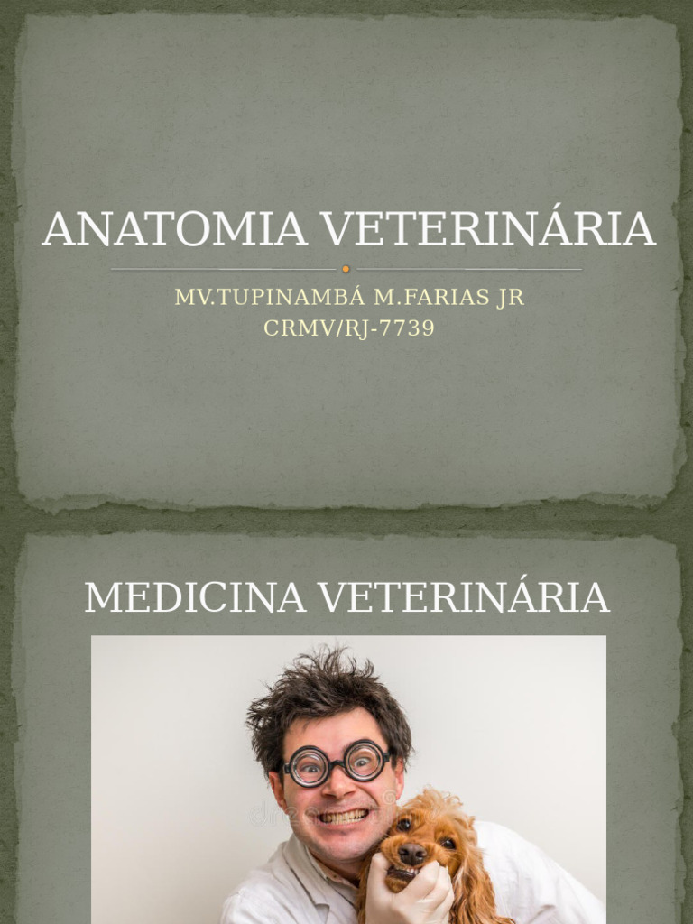 Anatomia Veterinária Pdf