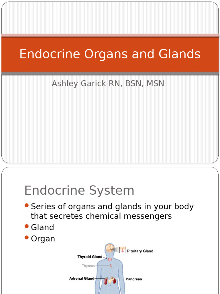Overview of the Endocrine System | PDF | Endocrine System | Hormone