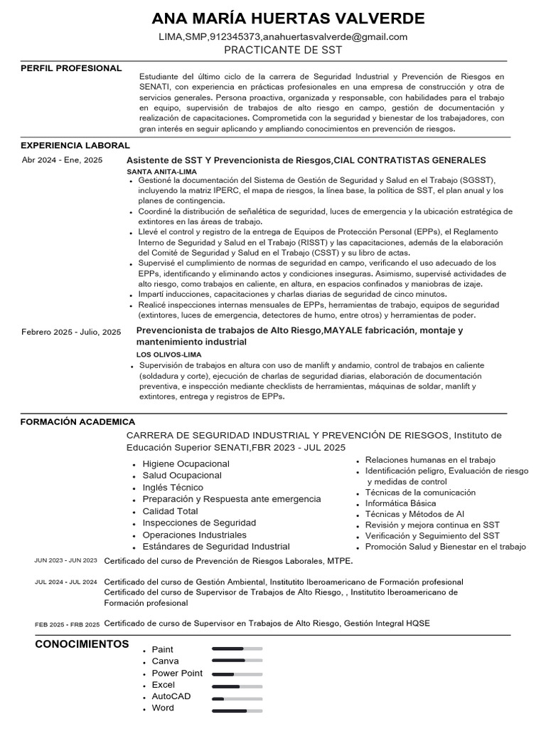 Perfil Profesional de Ana María Huertas | PDF | Seguridad y salud ...