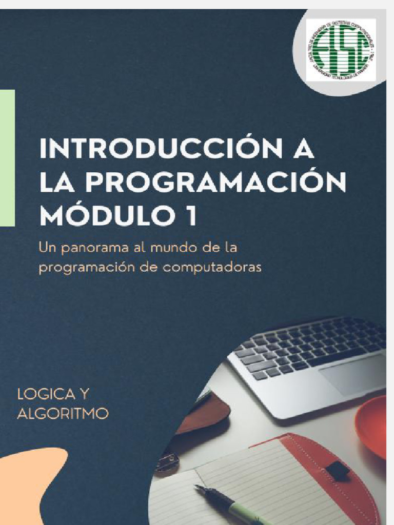 Introducción a la Programación y Algoritmos | PDF | Programación ...