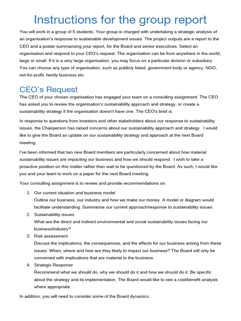Group Report on Sustainability Strategy | PDF | Sustainability ...