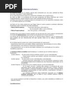 Download Estructura de La Sustancia Blanca y Gris by Alonso Polar SN89224819 doc pdf